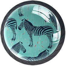 Zebra Pomelli per Porta Set di 4 Pomelli per Mobili Manopole per Cassetti Cucina Armadio Vetro