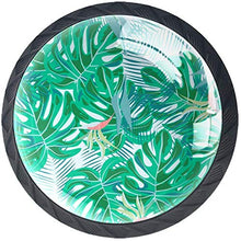 Foglie tropicali Pomelli per Porta Set di 4 Pomelli per Mobili Manopole per Cassetti Cucina Armadio Vetro