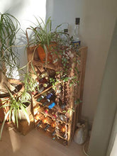 Kistenkolli Altes Land Wine Rack 16ER Bianco/Naturale/Fiammato Dimensioni 40 x 40 x 27 cm Mensola Mensola portabottiglie Vino Scatola di Mela Scatola di Vino - Vino Rack 16ER Fiammato, 40 x 40 x 27 cm
