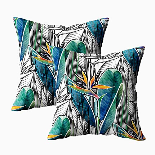 Kris.D Fodere per Cuscini con Cerniera, Fodere per Federa da tiro quadrate Modello 2 Pezzi Strelitzia esotica Fiori in Linea Grafica Federe per Cuscino da Fattoria da Verde Turchese