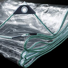 LXHONG Telo Trasparente，Telo in PVC Spesso 0,3 Mm，Panno Ombra del Giardino per Copertura Vegetale Campeggio 420 GMS, Personalizzabile (Color : Chiaro, Size : 2x4m)