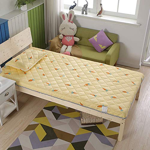 Z&HA Tatami Tappetino, 5 cm di Spessore Tappetino futon MattressTopper Tradizionale Giapponese futon ispessite Queen Size Standard Dimensione Dorm,N,120x190 cm