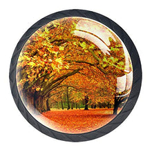 Acero d'autunno 4 PCS Pomelli per Porta, Pomolo per Mobile, Pomelli per Mobili con Viti, Maniglia per Armadietto, Pomelli per Porta, Pomelli per Cassetti per Porta, Armadio, Cassetto e Credenza