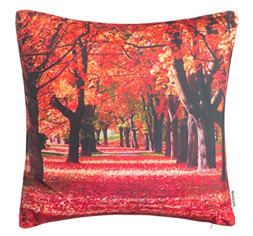 Brandsseller - Cuscino decorativo da giardino, con motivo autunno e sporco, impermeabile, con chiusura lampo, circa 45 x 45 cm, motivo 5.