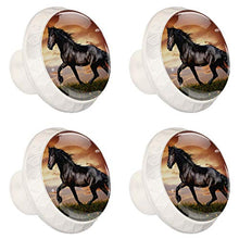 Prato del cavallo nero 4 PCS Pomelli per Porta, Pomolo per Mobile, Pomelli per Mobili con Viti, Maniglia per Armadietto, Pomelli per Porta, Pomelli per Cassetti per Porta, Armadio, Cassetto e Credenza
