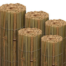Sol Royal Frangivista frangivento di bambú per Giardino & balconi SolVision B89 100x300 cm Protezione Naturale Privacy
