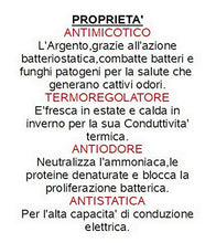 mauro Coprimaterasso + federe in Fibra d’Argento Matrimoniale-Una Piazza e Mezza-Singolo-Antistatico-antimicotico-antiodore (175 X 200 cm)