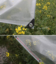 Telo Trasparente con Occhielli, Trasparente impermeabile incatramata, durevole, resistente allo strappo impermeabile incatramata, perforata della pellicola del PE, utilizzato for la protezione Padigli
