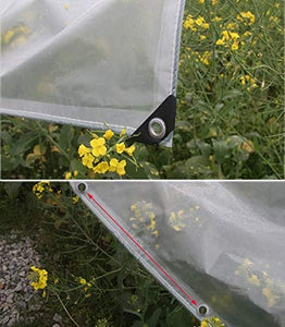 Telo Trasparente con Occhielli, Trasparente impermeabile incatramata, durevole, resistente allo strappo impermeabile incatramata, perforata della pellicola del PE, utilizzato for la protezione Padigli