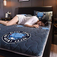 HKX Tappetino in Peluche Addensato, Materasso Futon Tappetino per Dormire sul Pavimento-D Matrimoniale Piccolo 120x200 cm (47x79 Pollici)