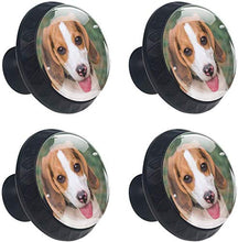 Giovane cane da lepre che gioca Brown del giardino Pomelli per Porta Set di 4 Pomelli per Mobili Manopole per Cassetti Cucina Armadio Vetro