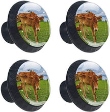 Farm Hayfield Agriculture Grass Pomelli per Porta Set di 4 Pomelli per Mobili Manopole per Cassetti Cucina Armadio Vetro