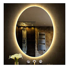 DELM Specchio da Parete 60x80 Ovale, Specchio da Bagno con LED Illuminato, Grande Specchio per Trucco Senza Cornice, Antideflagrante