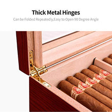 Umidificatore Humidor Cigar Box - Humidor da Tavolo in Legno di Cedro con Divisore in Cedro E Igrometro in Vetro Ad Anello in Ottone, Contiene da 25 A 50 Sigari,Marrone