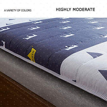 Morbido Pieghevole Materasso Futon,Traspirante Conpertevole Materasso Dormire Giapponese Futon Pad,Spesso Tappeto da Pavimento Tatami per Soggiorno Dormitorio B Full:120x200cm