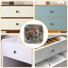 Volpe animale 4 PCS Pomelli per Porta, Pomolo per Mobile, Pomelli per Mobili con Viti, Maniglia per Armadietto, Pomelli per Porta, Pomelli per Cassetti per Porta, Armadio, Cassetto e Credenza