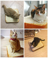 Mariisay Pet Cat Doggy Bed Mat Moderni Letto Toast Bread Schiuma Cuscino Sleeping Plaing Pad Cuscino Decorativo Stile Mediterraneo Orientale Dolce Carino Decorazione Copertura del Cuscino