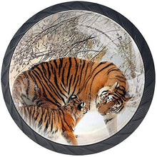 Tiger and Cub in The Snow Pomelli per Porta Set di 4 Pomelli per Mobili Manopole per Cassetti Cucina Armadio Vetro