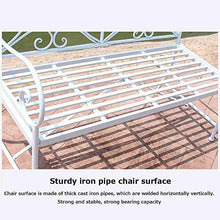 Panchina da Terrazza Parco, Panca per Tempo Libero Esterno, Panca da Giardino in Ghisa Resistente Intemperie Antiruggine, Panca Decorativa 2 Posti con Schienale Braccioli, Panchine per Prato / Corti