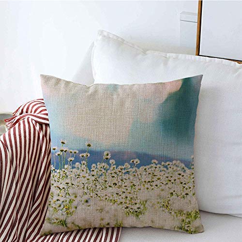 Fodere per cuscini decorativi Summer Seasonal Village Flores Chamomile Nature Giardinaggio Season Parks Green Daisy Flower Outdoor copricuscini 45 X 45CM