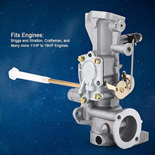 Rockyin Carburatore Briggs Stratton, Carburatore for Briggs Stratton 498298 130202 112202 112232 134202 137202 5Hp