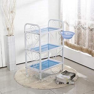 Quattro Ruote portatile strumento di archiviazione Carrello Carrello portaoggetti, supporto da pavimento in ferro battuto facile da pulire moda semplice multistrato salone parrucchiere mensola bagno,