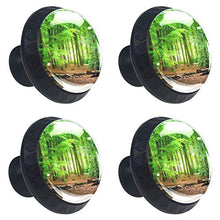 Foresta verde 4 PCS Pomelli per Porta, Pomolo per Mobile, Pomelli per Mobili con Viti, Maniglia per Armadietto, Pomelli per Porta, Pomelli per Cassetti per Porta, Armadio, Cassetto e Credenza