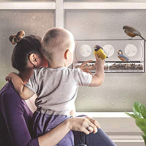 WYOY Alimentatore da Esterni Alimentatore in Plexiglass Appeso Pet Bird Feeding Facile da Pulire Take A Chiudi Look Bird Goditi Il Tempo di Divertimento per La Famiglia dei Bambini