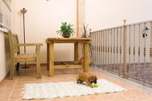 Catral 52010008 - Rotolo di Rete Quadrata, 0,2 x 300 x 100 cm, Colore: Bianco