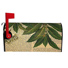 Stampa botanica su vecchia pagina del libro dal design unico per cassetta delle poste, copertina magnetica per giardino e cortile, dimensioni standard 53 x 45 cm