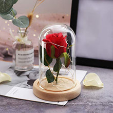 QYMX Eternal Flower ， Romanticismo Eternal Life Fiore Copertura di Vetro Rosa in Una boccetta Lampada Regalo di Natale Regalo di Compleanno Regali di San Valentino Decor