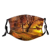 Panchina Parco Lago Tramonto Autunno Riva Paese Cielo Fiori Giardino Alba Decorazioni per il viso Fa-Ce Co-Ver Fa-Ce Ma-Schera con filtri
