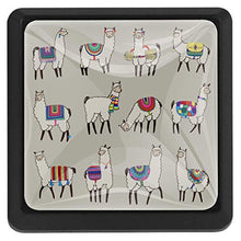 Lama animale 3 PCS Pomelli per Porta, Pomolo per Mobile, Pomelli per Mobili con Viti, Maniglia per Armadietto, Pomelli per Porta, Pomelli per Cassetti per Porta, Armadio, Cassetto e Credenza