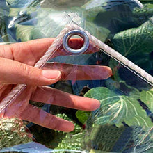 YYFANG Telo Impermeabile Esterno， Telone in PVC Trasparente con Occhielli in Metallo Pezzo di plastica, Baldacchino Antivento Ispessito, Copertura Antipioggia per Piante Pieghevole con Corda