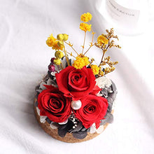 QYMX Eternal Flower ， Copertura in Vetro Floreale Decorare Eternal Rose in Flask Flower Floreale Bella per San Valentino Compleanno Regalo di Nozze di Natale