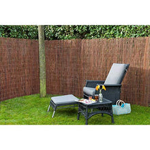 Nature Recinzione Frangivento Salice 1x3 m Spessore 10 mm Protezione Giardino