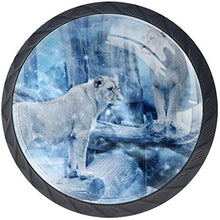 Leonessa in The Winter Art Pomelli per Porta Set di 4 Pomelli per Mobili Manopole per Cassetti Cucina Armadio Vetro