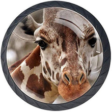 Giraffe Head Animal Zoo Pomelli per Porta Set di 4 Pomelli per Mobili Manopole per Cassetti Cucina Armadio Vetro