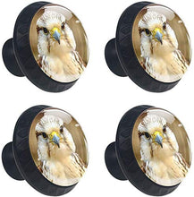 Gyrfalcon Carino Ti guarda Pomelli per Porta Set di 4 Pomelli per Mobili Manopole per Cassetti Cucina Armadio Vetro