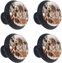 Giraffe Head Animal Zoo Pomelli per Porta Set di 4 Pomelli per Mobili Manopole per Cassetti Cucina Armadio Vetro