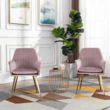 Irene House Sedia da Camera da Letto in Tessuto Velluto con Gambe in Metallo Sedia da Soggiorno Sedia da Sala da Pranzo Sedia per Tavolo da Toeletta (Rosa, 2)