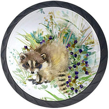 Raccoon Forest Animals Watercolor Pomelli per Porta Set di 4 Pomelli per Mobili Manopole per Cassetti Cucina Armadio Vetro