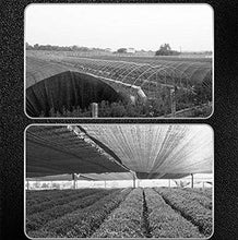 Rete ombreggiante Cromatura Ispessimento A Criptaggio Coperchio Ombra del 95% con Occhielli per Copertura Vegetale, Serra, Canile, 8 Pin (Size : 10x10M)
