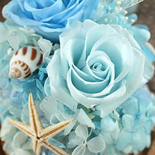 QYMX Eternal Flower ， Real Rose in Glass Conservato Eternal Flower Valentine Speciale Regalo Romantico Festa di Compleanno Decorazione Domestica