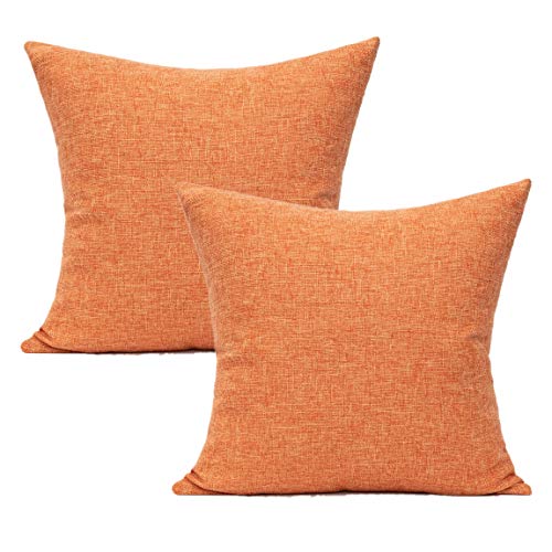 All Smiles Fodere per cuscini da esterno per esterni Coperte per uccelli Decorazioni per uccelli Cuscino decorativo vintage autunnale in cotone e lino 45x45 Set di 2 divani da giardino esterni