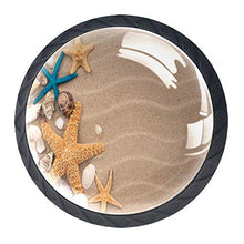 Conchiglie da spiaggia 4 PCS Pomelli per Porta, Pomolo per Mobile, Pomelli per Mobili con Viti, Maniglia per Armadietto, Pomelli per Porta, Pomelli per Cassetti per Porta, Armadio, Cassetto e Credenza