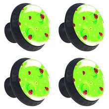 coccinella (2) 4 PCS Pomelli per Porta, Pomolo per Mobile, Pomelli per Mobili con Viti, Maniglia per Armadietto, Pomelli per Porta, Pomelli per Cassetti per Porta, Armadio, Cassetto e Credenza