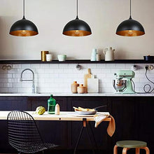 Lampadari a Sospensione Vintage Industriale, Tomshine Lampadario In Ferro Per Il Ristorante Dining Room Kitchen 2PCS