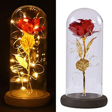 QYMX Eternal Flower Gift Squisito Regalo di Natale Bellezza e Bestia Rosa in Pallone LED Rose Cupola di Vetro Ideale per San Valentino Regalo Eternal Flower LED Night