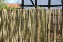 HaGa-Welt.de - Rete di bambù, protezione contro gli sguardi indiscreti, 3 x 1,5 m